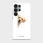 Peekaboo Pup - Crystal